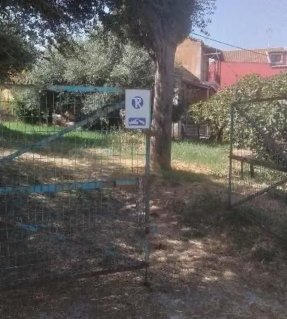 Yangos Traditional *